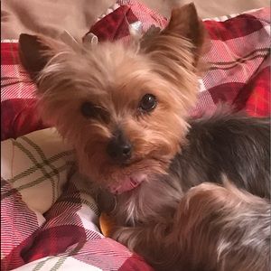 Meet your Posher, Terry